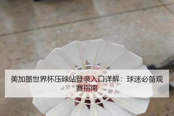 美加墨世界杯压球站登录入口详解:球迷必备观赛指南