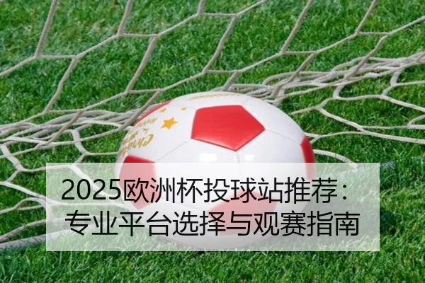 2025欧洲杯投球站推荐：专业平台选择与观赛指南