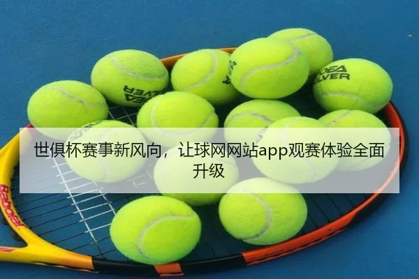 世俱杯赛事新风向，让球网网站app观赛体验全面升级